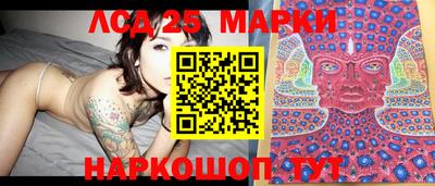 шишки Гатчина