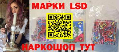 шишки Гатчина