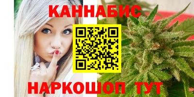 шишки Гатчина