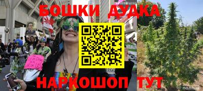 шишки Гатчина
