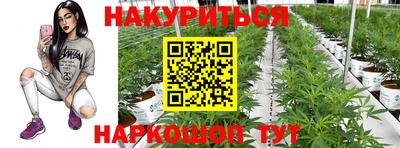 шишки Гатчина