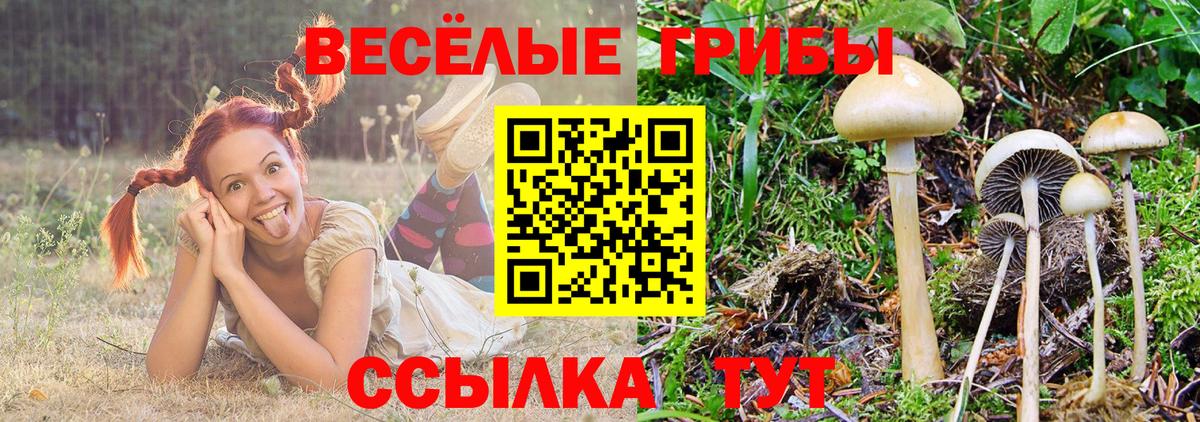 Галлюциногенные грибы MAGIC MUSHROOMS Йошкар-Ола