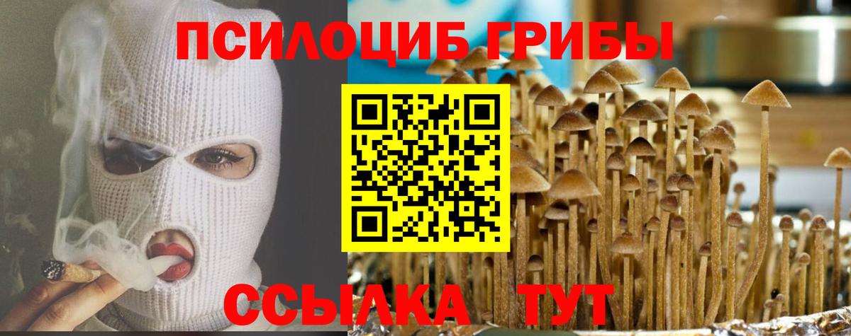 Псилоцибиновые грибы Psilocybe  Галлюциногенные грибы MAGIC MUSHROOMS  Йошкар-Ола  Вход с VPN 